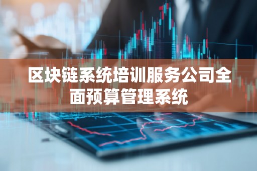 区块链系统培训服务公司全面预算管理系统