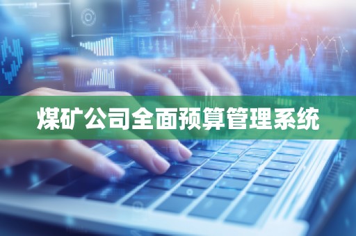 煤矿公司全面预算管理系统
