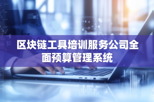 区块链工具培训服务公司全面预算管理系统