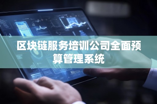 区块链服务培训公司全面预算管理系统