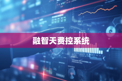 融智天费控系统