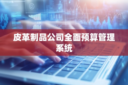 皮革制品公司全面预算管理系统