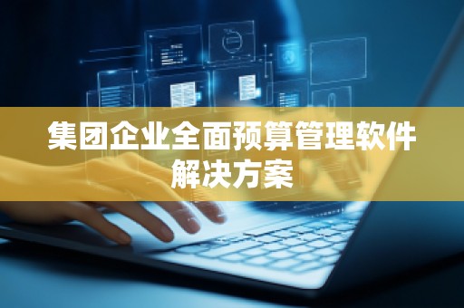 集团企业全面预算管理软件解决方案