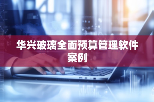 华兴玻璃全面预算管理软件案例