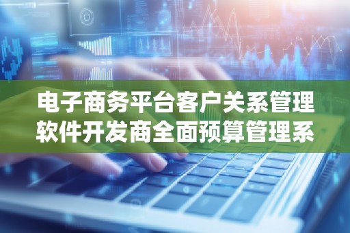 电子商务平台客户关系管理软件开发商全面预算管理系统价格解析