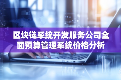 区块链系统开发服务公司全面预算管理系统价格分析