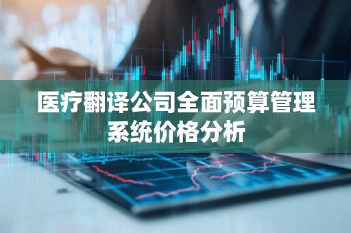 医疗翻译公司全面预算管理系统价格分析