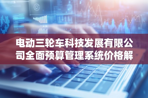 电动三轮车科技发展有限公司全面预算管理系统价格解析