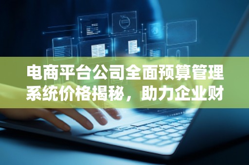 电商平台公司全面预算管理系统价格揭秘，助力企业财务管理