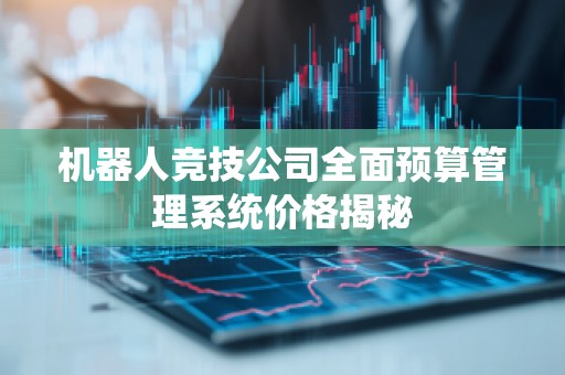 机器人竞技公司全面预算管理系统价格揭秘