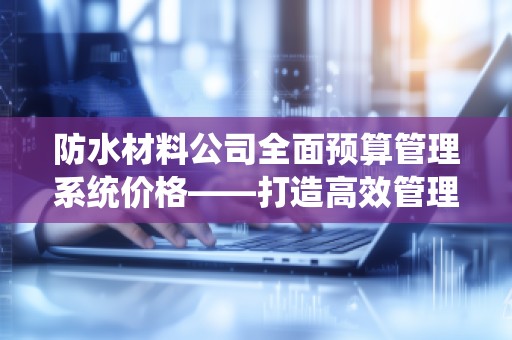 防水材料公司全面预算管理系统价格——打造高效管理，提升企业竞争力