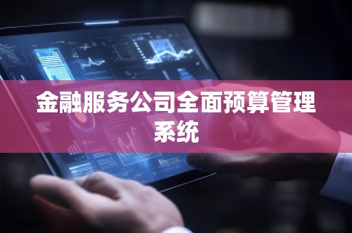 金融服务公司全面预算管理系统