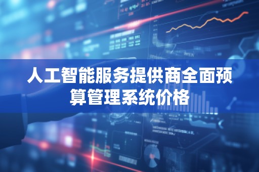 人工智能服务提供商全面预算管理系统价格