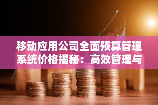 移动应用公司全面预算管理系统价格揭秘：高效管理与节省成本的***结合