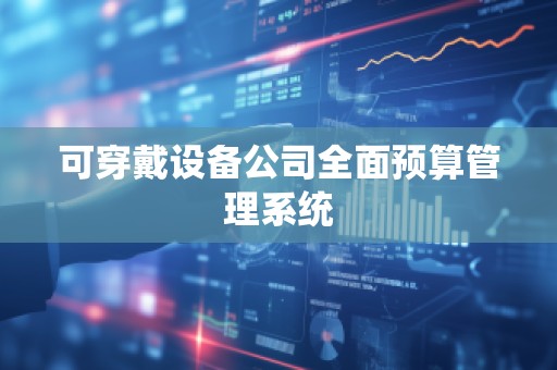 可穿戴设备公司全面预算管理系统