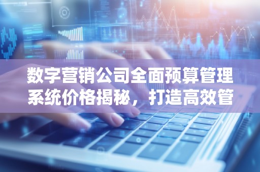 数字营销公司全面预算管理系统价格揭秘，打造高效管理新模式