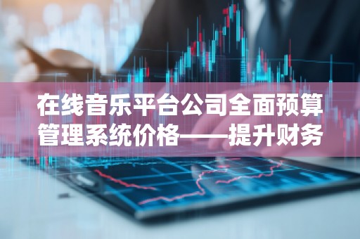 在线音乐平台公司全面预算管理系统价格——提升财务管理效率，助力企业成长