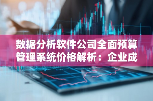 数据分析软件公司全面预算管理系统价格解析：企业成本控制的新利器