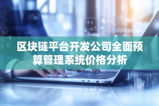 区块链平台开发公司全面预算管理系统价格分析