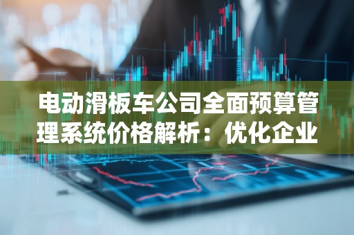 电动滑板车公司全面预算管理系统价格解析：优化企业财务管理的智能解决方案