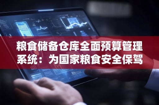 粮食储备仓库全面预算管理系统：为***粮食安全保驾护航
