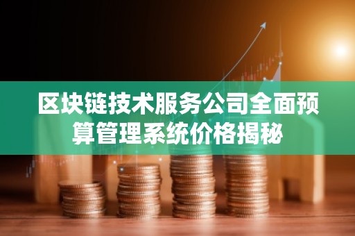 区块链技术服务公司全面预算管理系统价格揭秘
