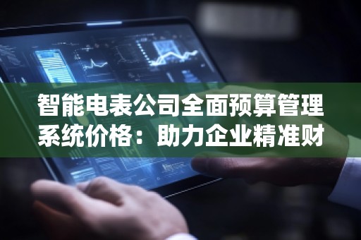 智能电表公司全面预算管理系统价格：助力企业精准财务管理，实现智能化发展