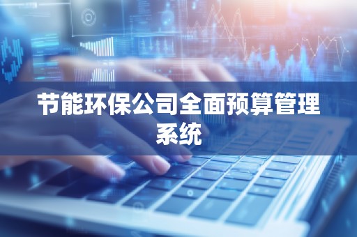节能环保公司全面预算管理系统