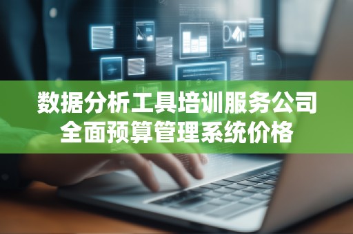 数据分析工具培训服务公司全面预算管理系统价格