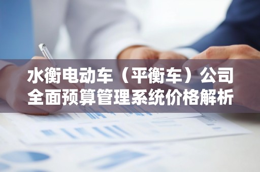 水衡电动车（平衡车）公司全面预算管理系统价格解析