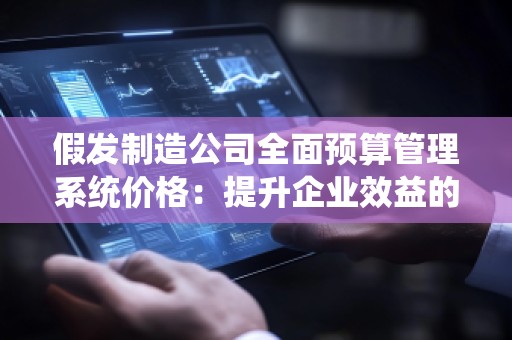 假发制造公司全面预算管理系统价格：提升企业效益的智慧选择