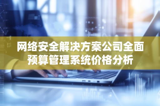 网络安全解决方案公司全面预算管理系统价格分析