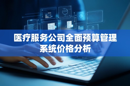 医疗服务公司全面预算管理系统价格分析