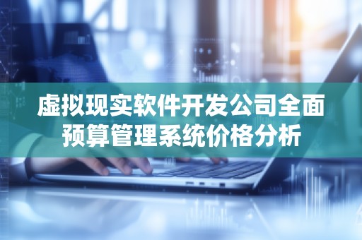 虚拟现实软件开发公司全面预算管理系统价格分析