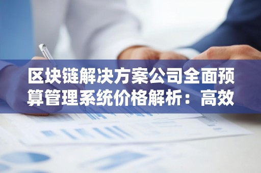 区块链解决方案公司全面预算管理系统价格解析：高效与创新的***结合