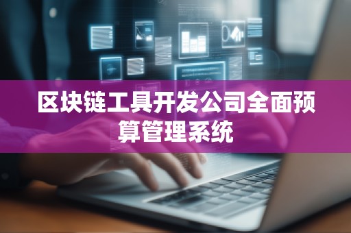 区块链工具开发公司全面预算管理系统