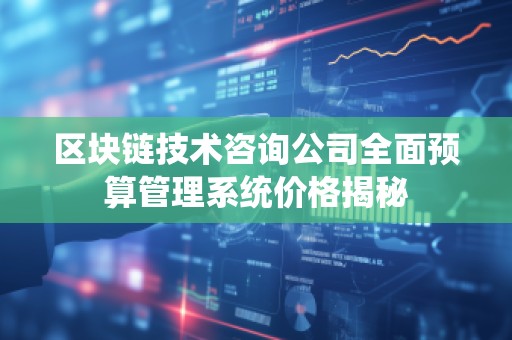 区块链技术咨询公司全面预算管理系统价格揭秘