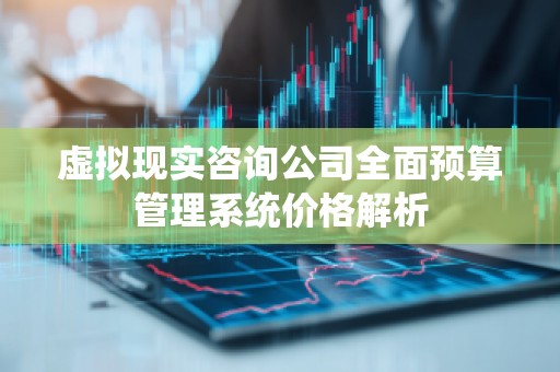 虚拟现实咨询公司全面预算管理系统价格解析