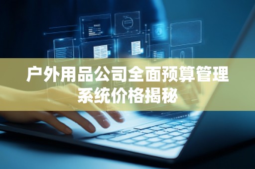 户外用品公司全面预算管理系统价格揭秘