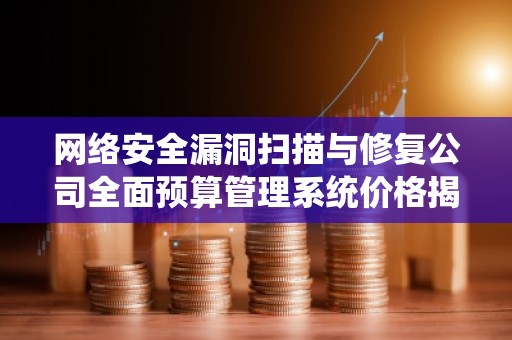 网络安全漏洞扫描与修复公司全面预算管理系统价格揭秘