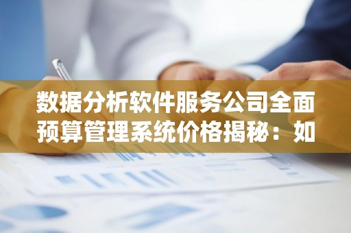 数据分析软件服务公司全面预算管理系统价格揭秘：如何选择适合企业的预算管理解决方案