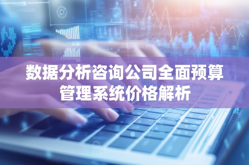 数据分析咨询公司全面预算管理系统价格解析