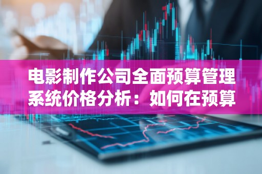 电影制作公司全面预算管理系统价格分析:如何在预算管控中获得更高的性价比