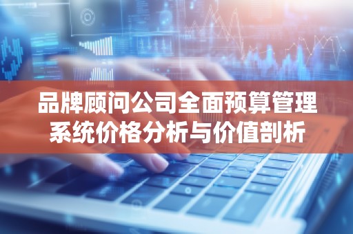 品牌顾问公司全面预算管理系统价格分析与价值剖析