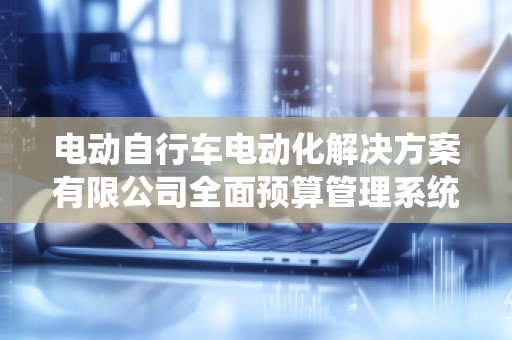 电动自行车电动化解决方案有限公司全面预算管理系统价格：提升企业管理效率，助力行业发展