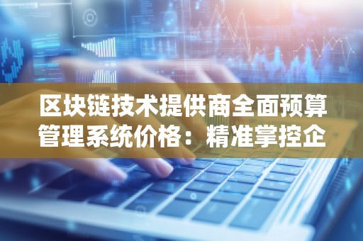 区块链技术提供商全面预算管理系统价格：精准掌控企业预算的利器