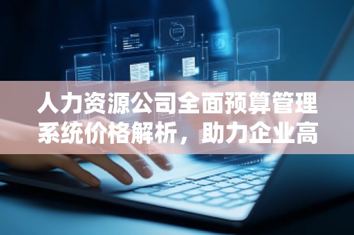 人力资源公司全面预算管理系统价格解析，助力企业高效管理