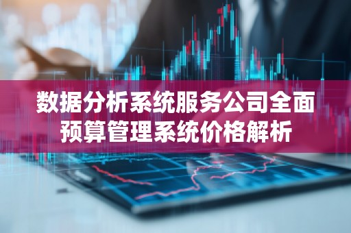 数据分析系统服务公司全面预算管理系统价格解析