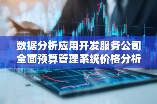 数据分析应用开发服务公司全面预算管理系统价格分析