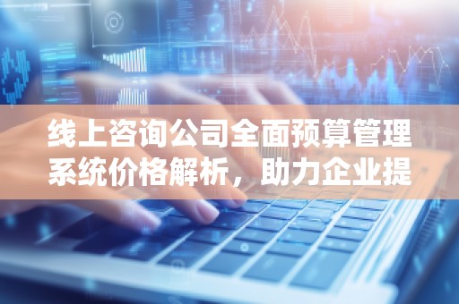 线上咨询公司全面预算管理系统价格解析，助力企业提升财务管理效率